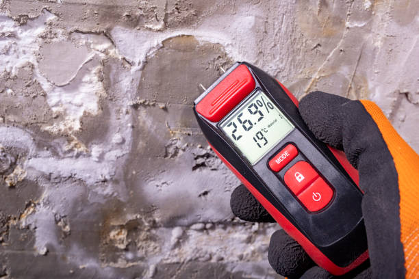 Best Affordable Mold Removal  in Ben Wheeler, TX