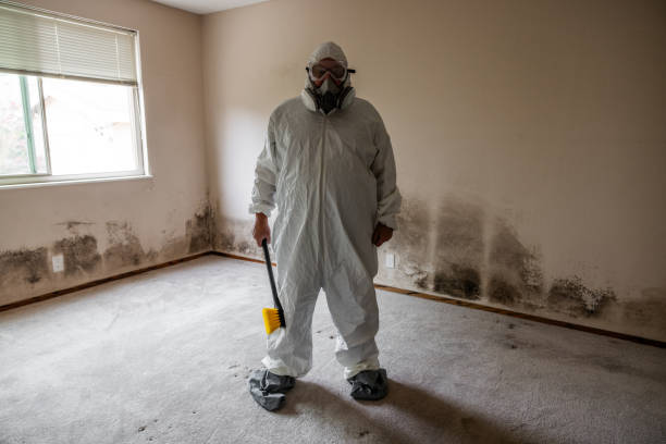 Best Toxic Mold Removal  in Ben Wheeler, TX